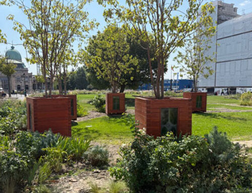 Regenerative Landscaping: A Blueprint for Urban Carbon Sinks
